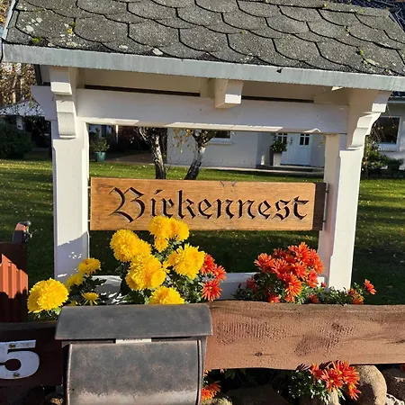 Birkennest Baabe