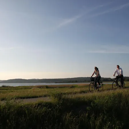 Апартаменты Birkennest *