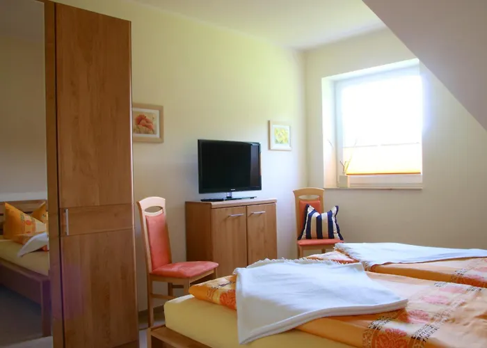 Birkennest * באבה