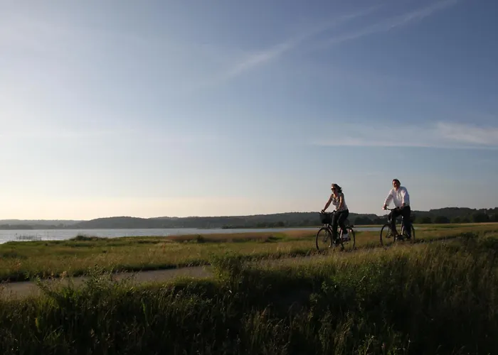 דירה Birkennest *